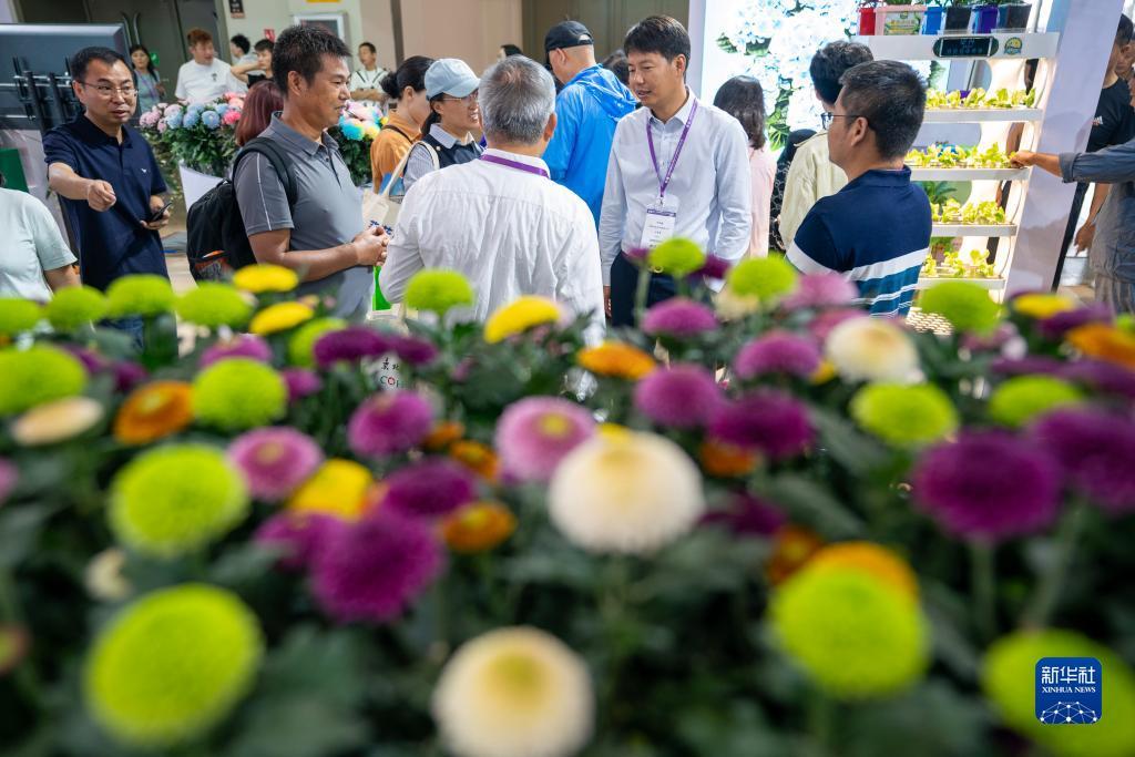 太阳集团娱乐所有网站