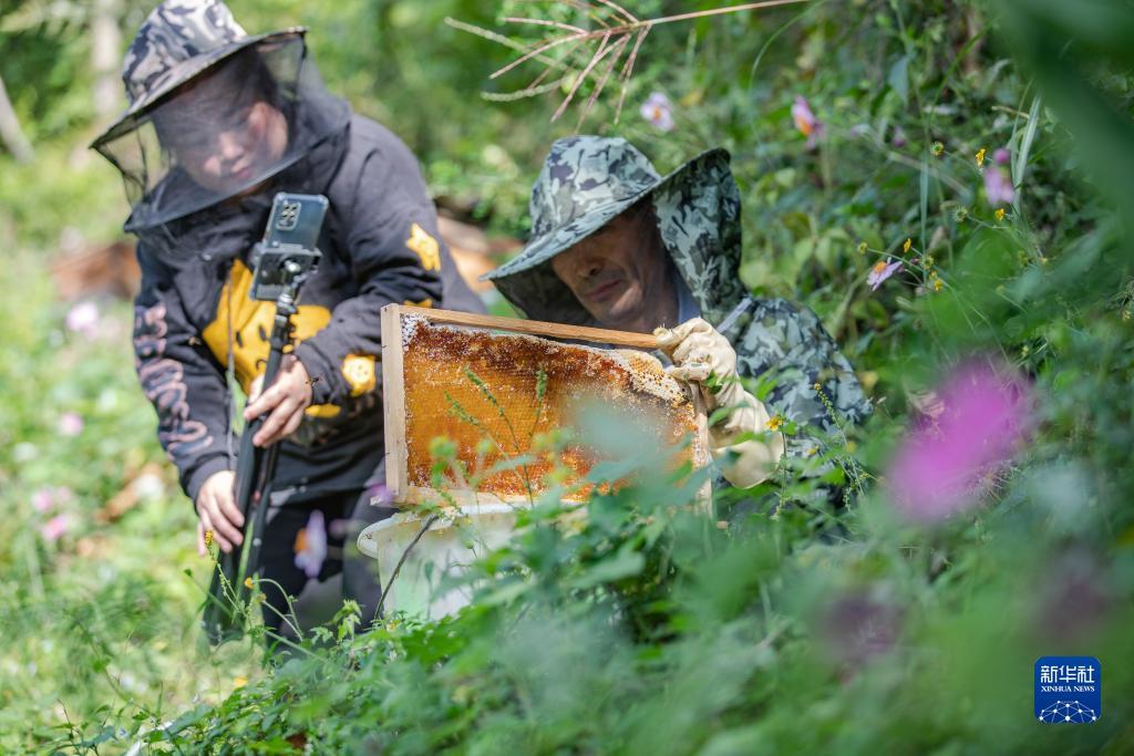 永州同城扯胡子微信同号